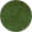 104137 - GREEN BRIDLE - Image 4